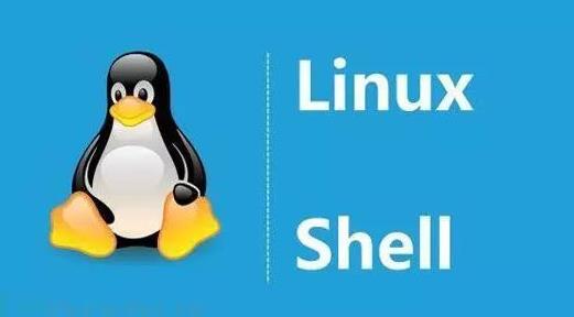 宝塔计划任务定时删除指定网站缓存文件夹
