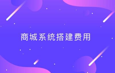 商城网站系统开发有哪些费用？