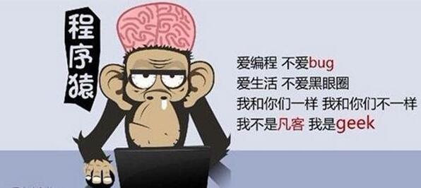 金柚建站系统PHP